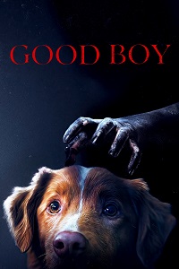 مشاهدة فيلم Good Boy 2025 مترجم