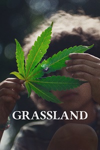 مشاهدة فيلم Grassland 2024 مترجم